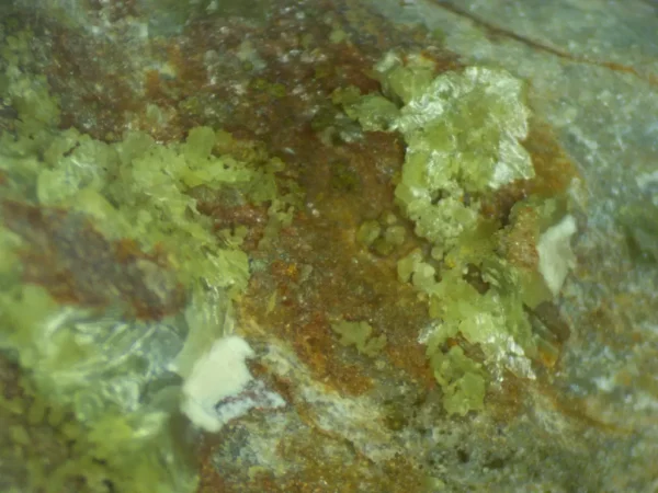 Calcioferrite, Carbonate-rich Fluorapatite
