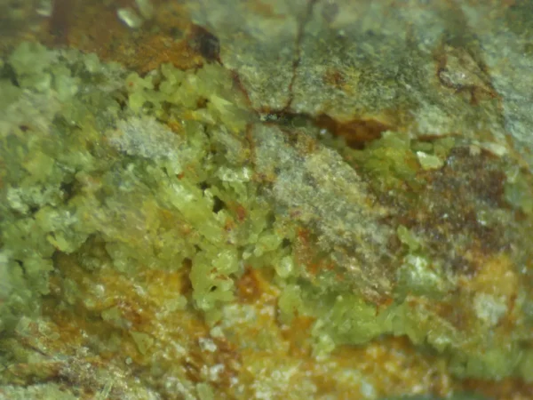 Calcioferrite