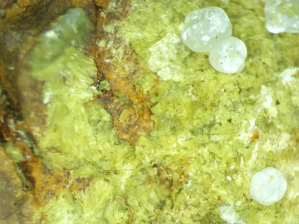 Calcioferrite, Carbonate-rich Fluorapatite