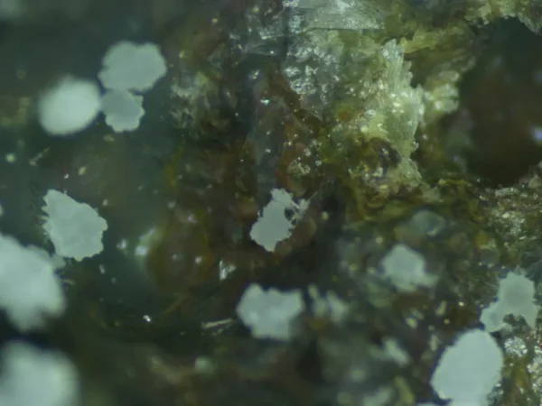 Fluorapatite - Image 2