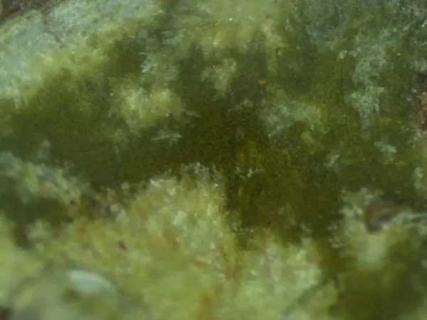 Calcioferrite - Image 2