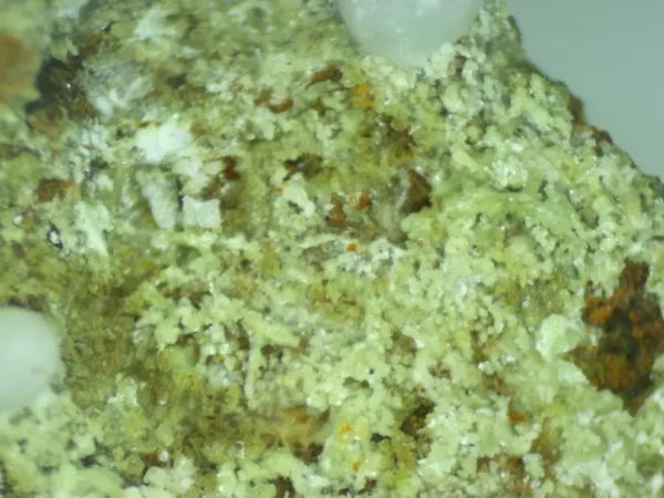Calcioferrite, Carbonate-rich Fluorapatite
