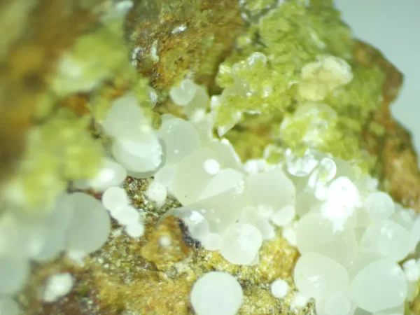 Calcioferrite, Carbonate-rich Fluorapatite