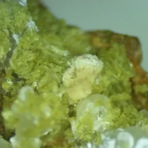 Calcioferrite