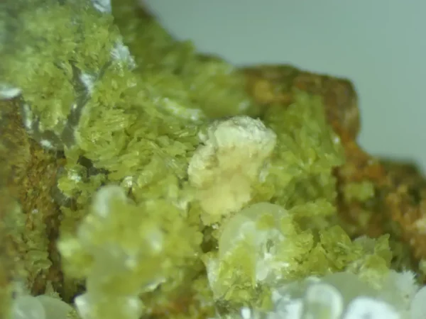 Calcioferrite