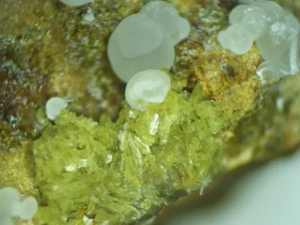 Calcioferrite, Carbonate-rich Fluorapatite