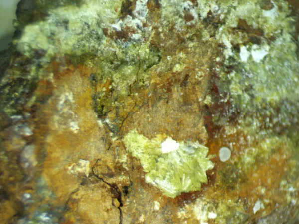 Calcioferrite, Carbonate-rich Fluorapatite