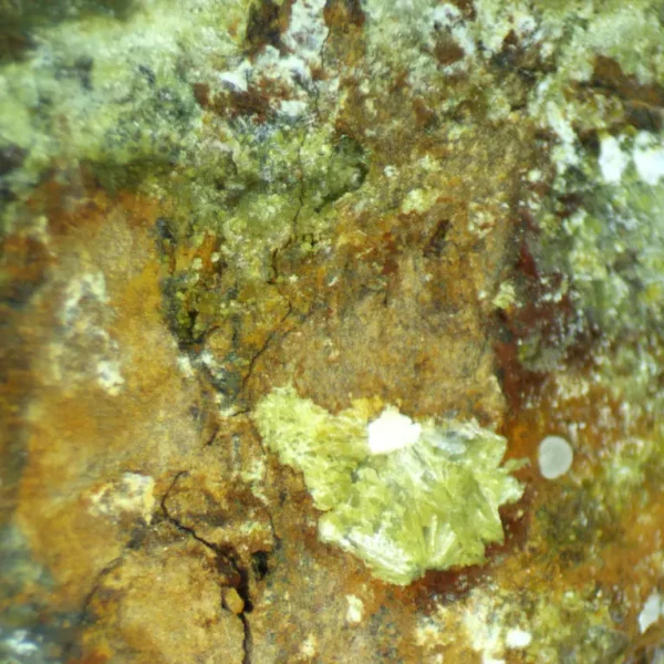 Calcioferrite, Carbonate-rich Fluorapatite
