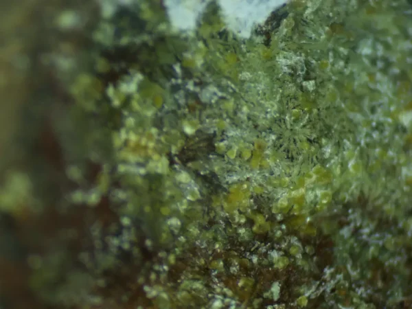 Calcioferrite, Carbonate-rich Fluorapatite