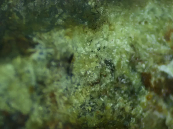 Calcioferrite, Carbonate-rich Fluorapatite