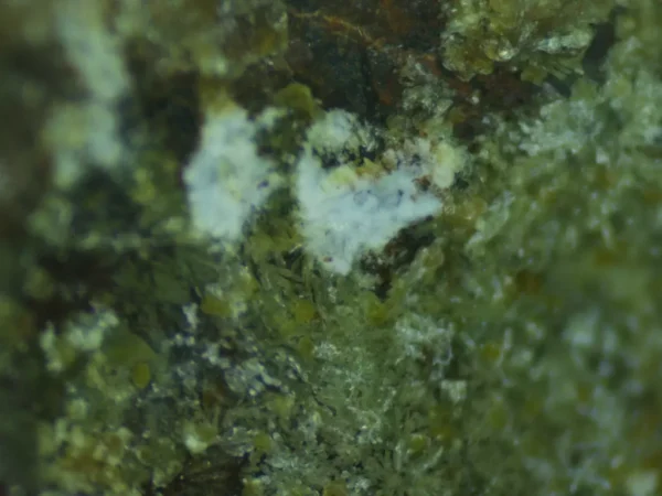 Calcioferrite, Carbonate-rich Fluorapatite