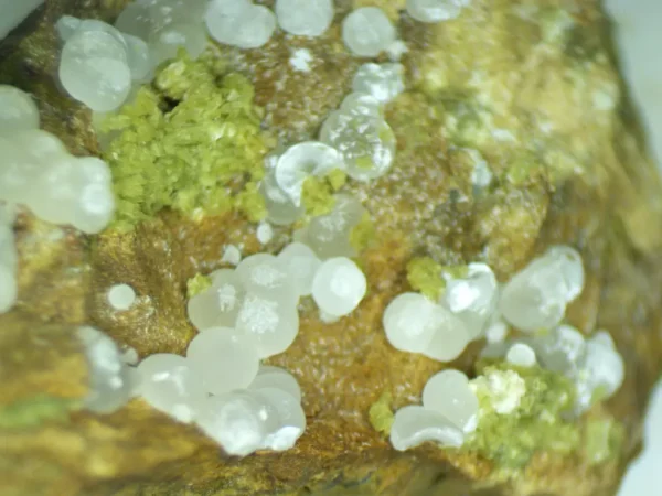 Calcioferrite, Carbonate-rich Fluorapatite