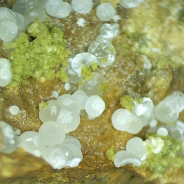 Calcioferrite, Carbonate-rich Fluorapatite