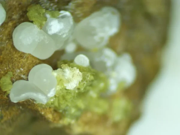 Calcioferrite, Carbonate-rich Fluorapatite