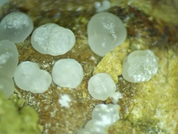 Calcioferrite - Image 2