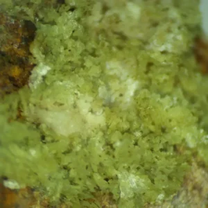 Calcioferrite