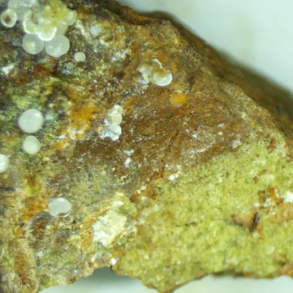 Calcioferrite, Carbonate-rich Fluorapatite