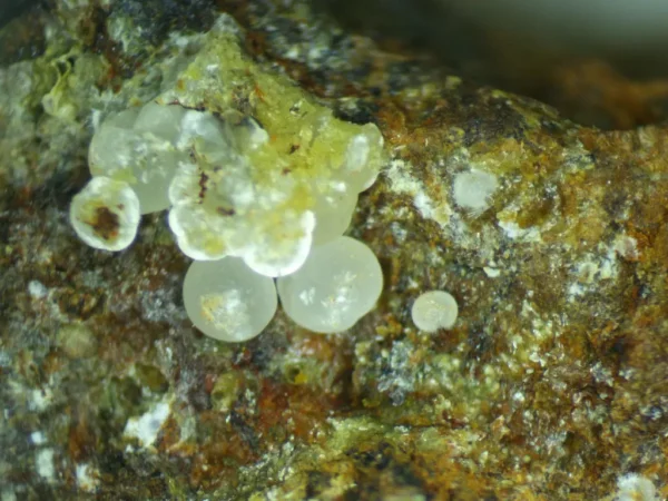 Calcioferrite - Image 7