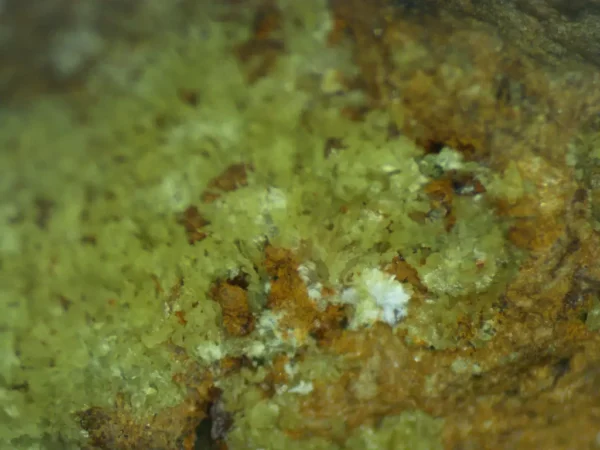Calcioferrite, Carbonate-rich Fluorapatite
