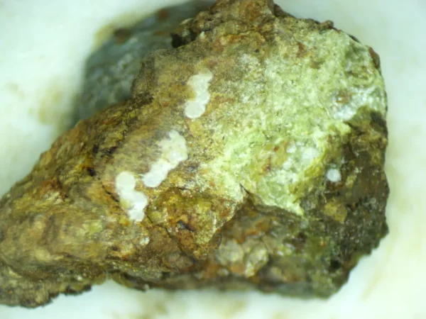 Calcioferrite, Carbonate-rich Fluorapatite