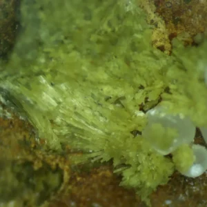 Calcioferrite