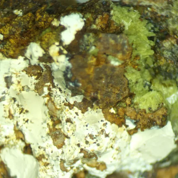 Calcioferrite, Carbonate-rich Fluorapatite