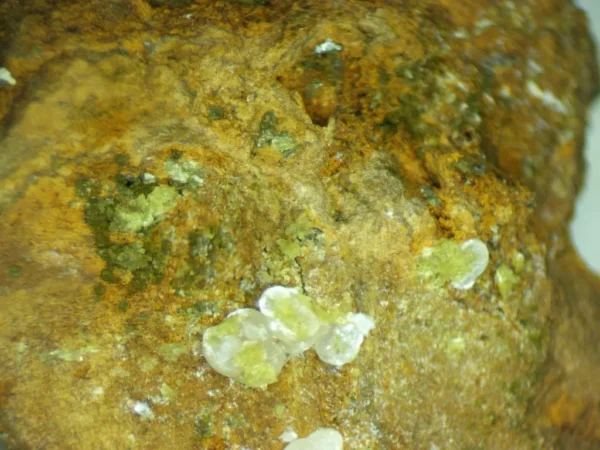 Calcioferrite, Carbonate-rich Fluorapatite