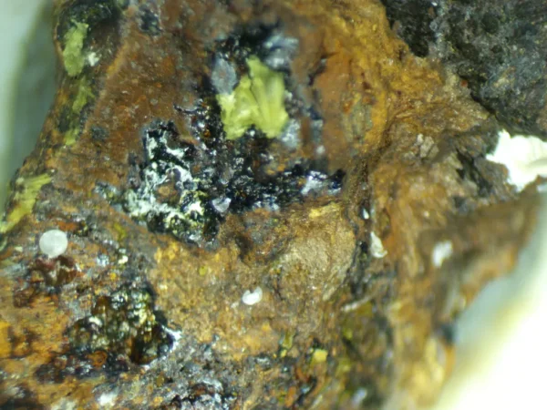 Calcioferrite