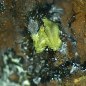 Calcioferrite