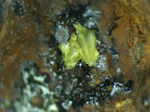 Calcioferrite
