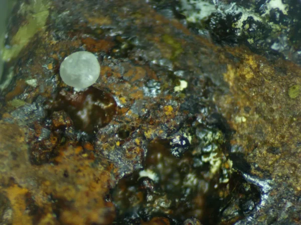 Goethite, Carbonate-rich Fluorapatite