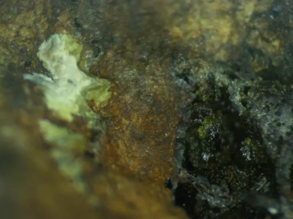 Calcioferrite on Goethite - Image 4