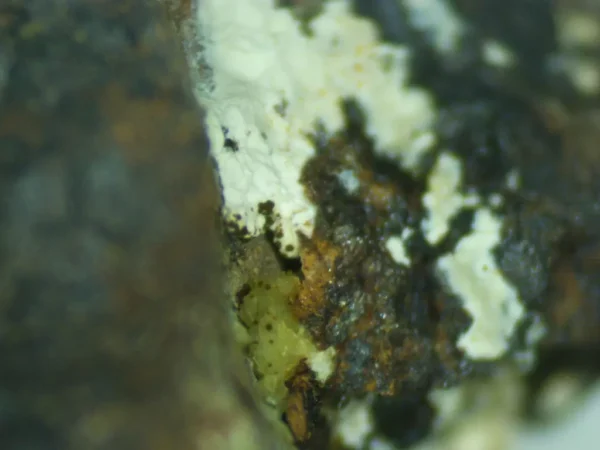 Calcioferrite on Goethite - Image 3