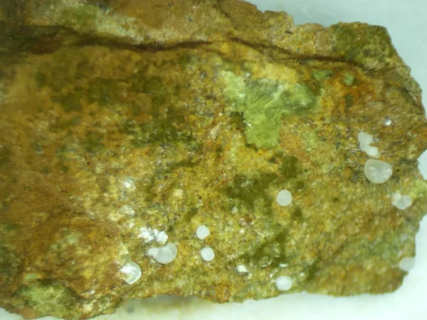 Calcioferrite, Carbonate-rich Fluorapatite