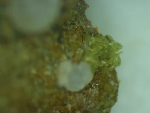 Calcioferrite - Image 2