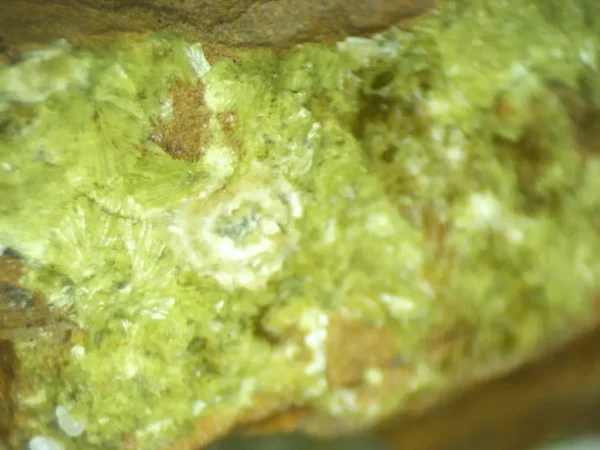 Calcioferrite, Carbonate-rich Fluorapatite