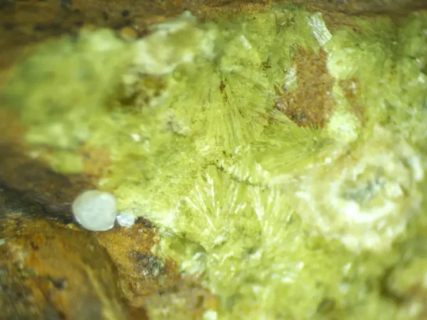 Calcioferrite, Carbonate-rich Fluorapatite