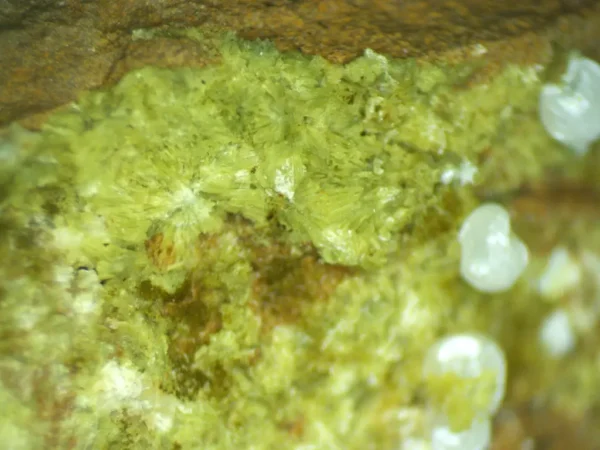 Calcioferrite, Carbonate-rich Fluorapatite