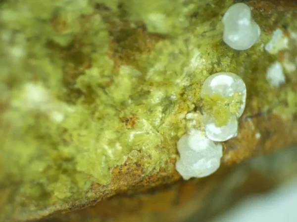 Calcioferrite, Carbonate-rich Fluorapatite