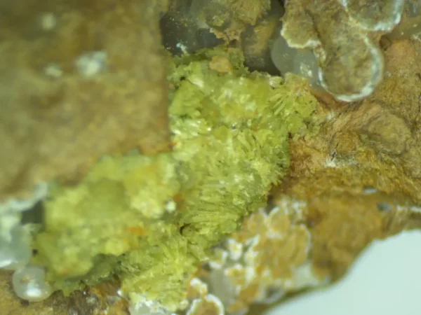 Calcioferrite