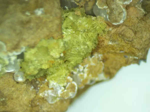 Calcioferrite