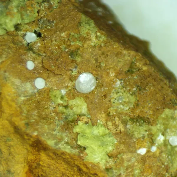 Calcioferrite, Carbonate-rich Fluorapatite