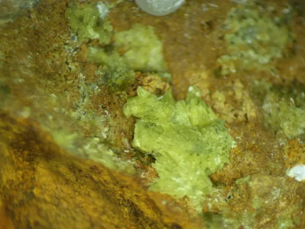 Calcioferrite