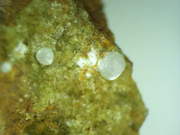 Calcioferrite, Carbonate-rich Fluorapatite