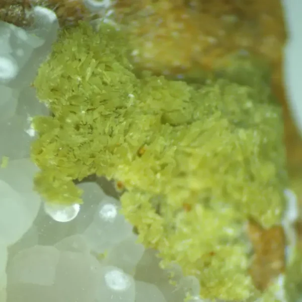 Calcioferrite, Carbonate-rich Fluorapatite