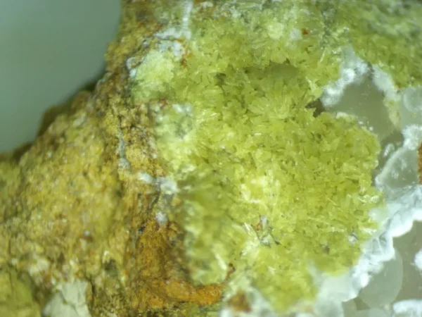 Calcioferrite, Carbonate-rich Fluorapatite
