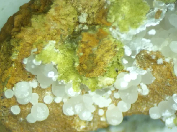 Calcioferrite, Carbonate-rich Fluorapatite