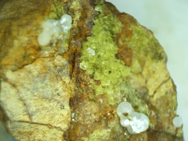 Calcioferrite, Carbonate-rich Fluorapatite
