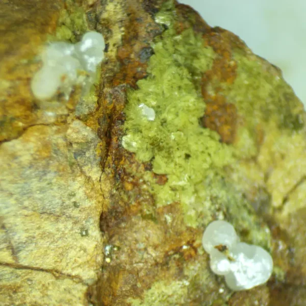 Calcioferrite, Carbonate-rich Fluorapatite