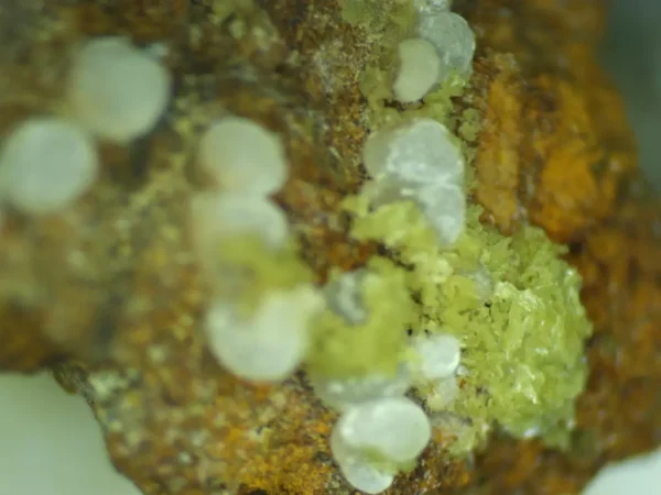 Calcioferrite, Carbonate-rich Fluorapatite